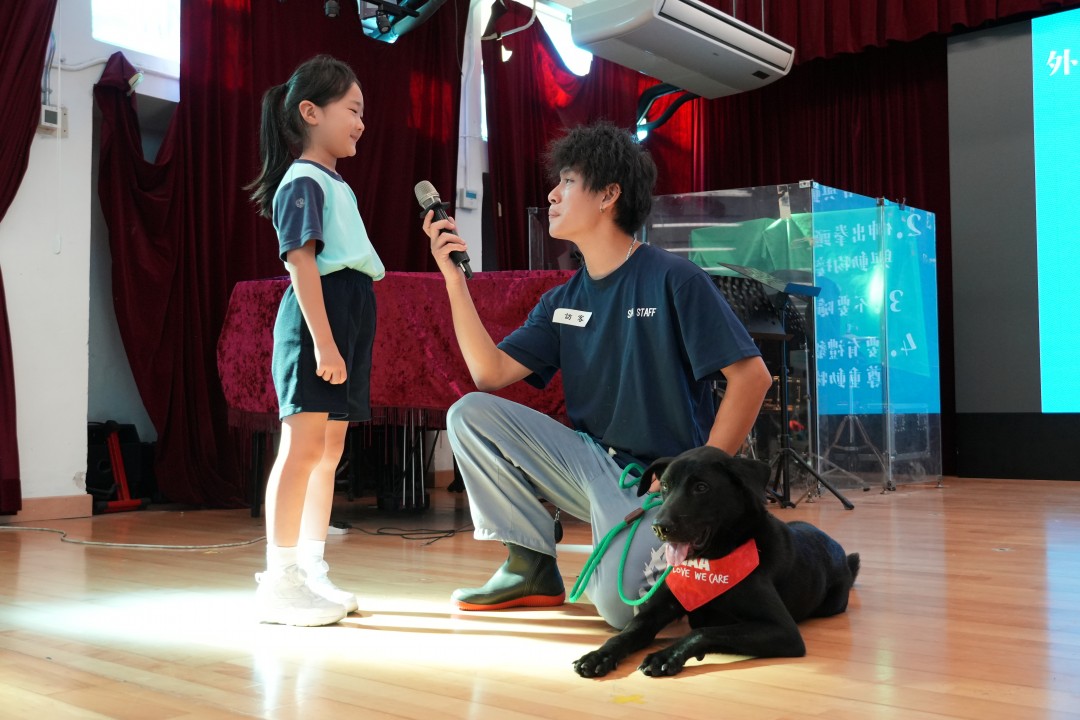 P2跨學科2.JPG