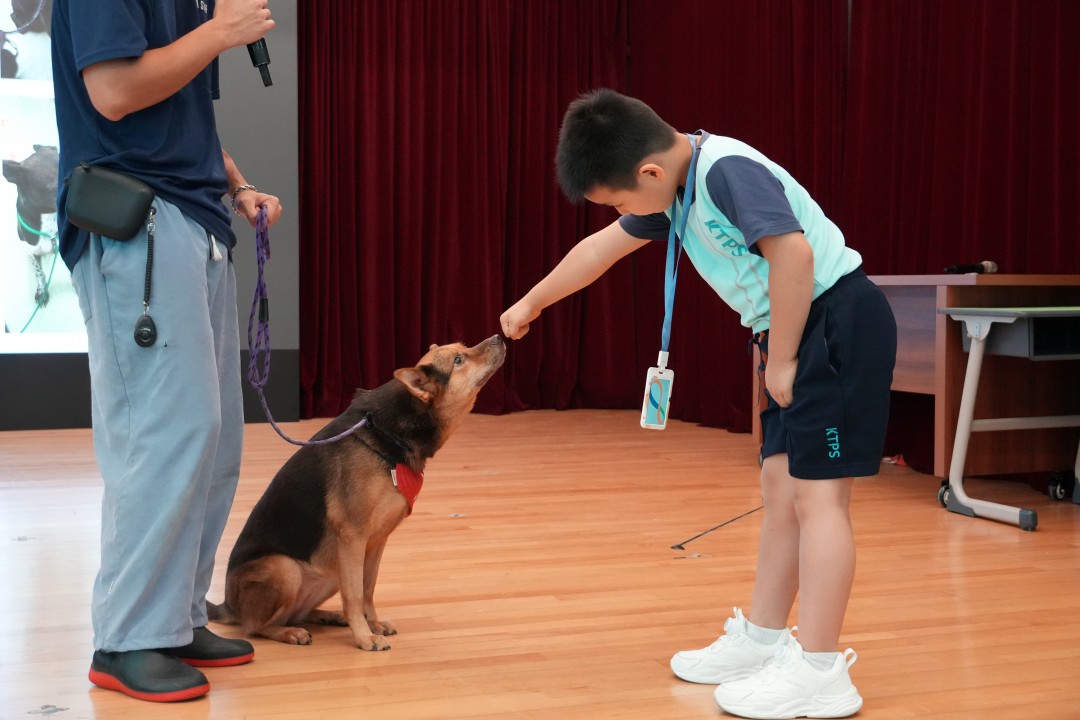 P2跨學科3.JPG