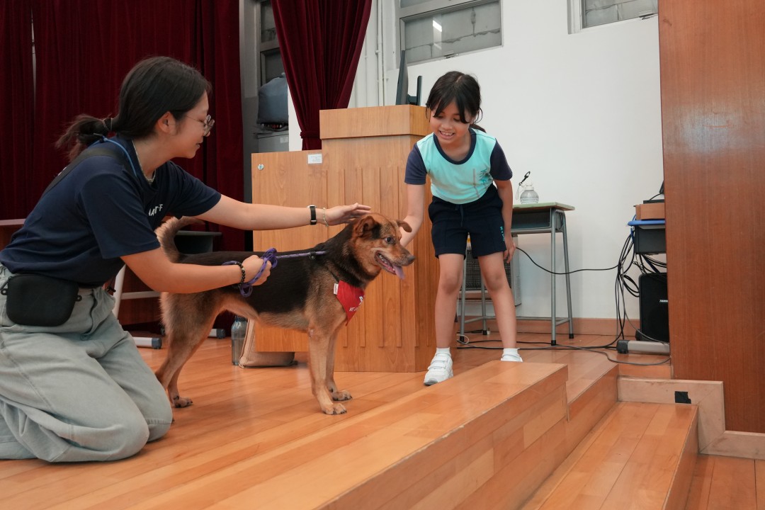 P2跨學科4.JPG