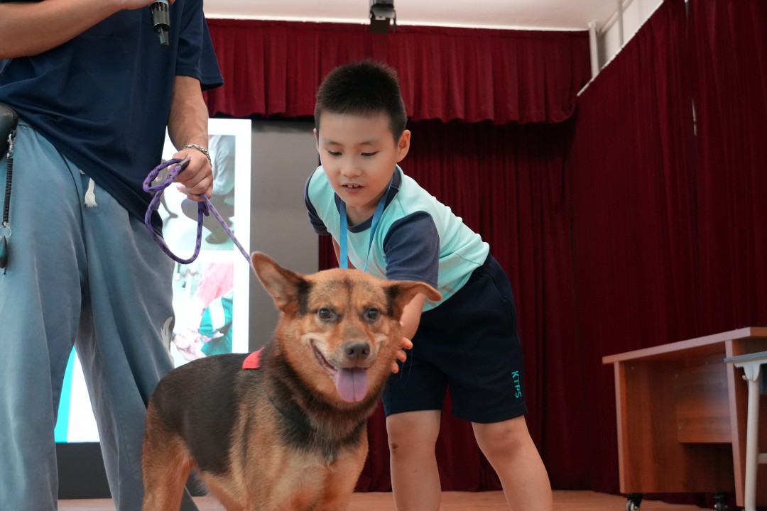 P2跨學科5.JPG