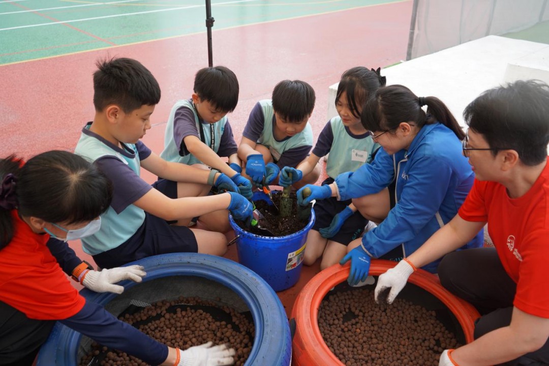 種植太陽花