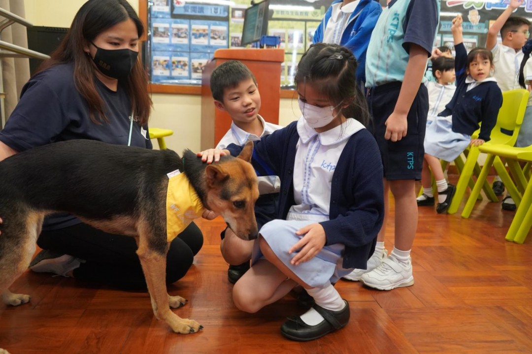 保護遺棄動物講座